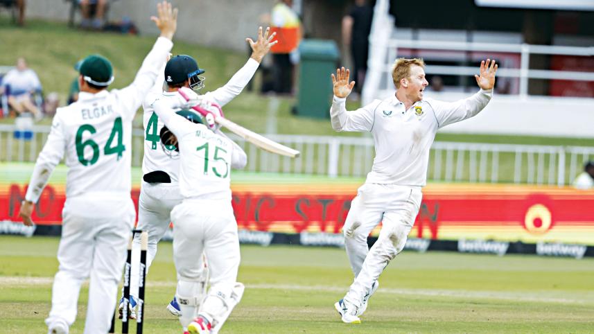 cricket.jpg