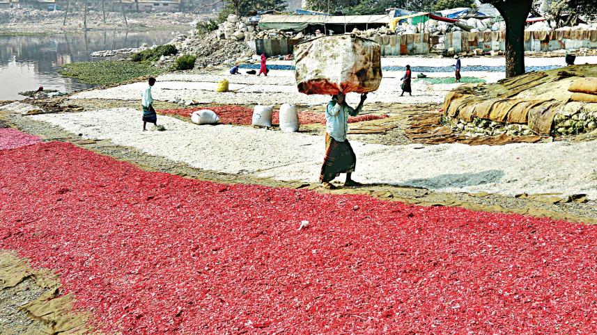 recycling-plastic-bottles.jpg