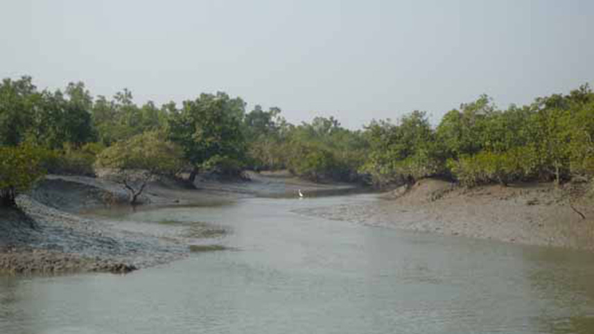 chars-of-sundarbans.jpg