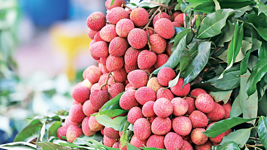 lichi.png