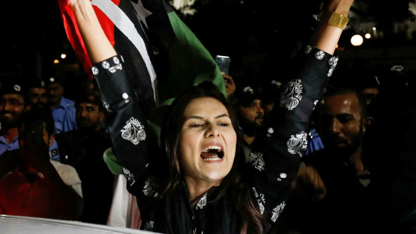 supporter-peoples-party-pakistan.jpg