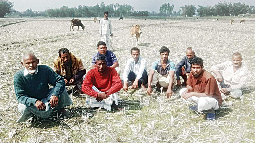 nilphamariirrigationin.jpg