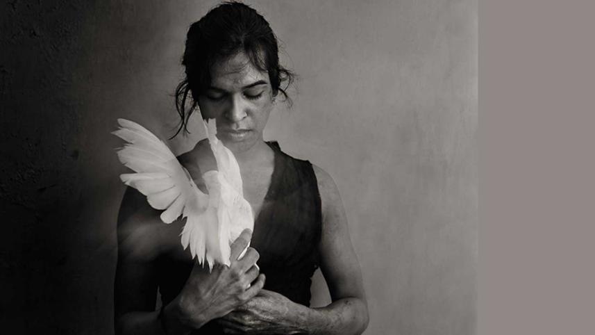 hijra-derogatory.jpg