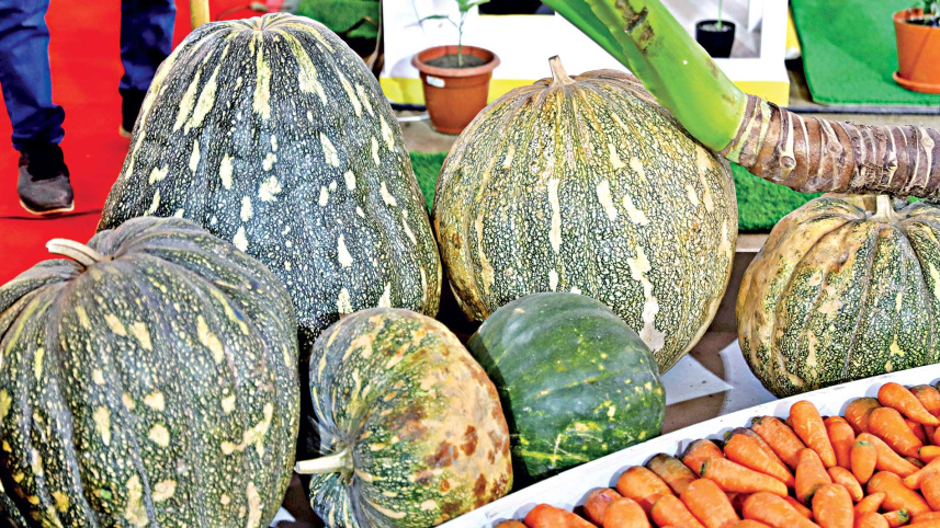 vegetable-fair-8.jpg