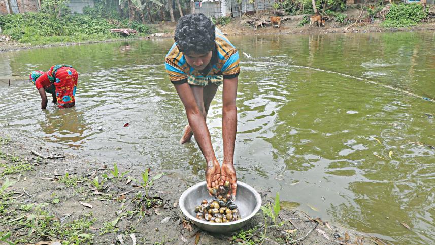 ish-snail-farm.jpg
