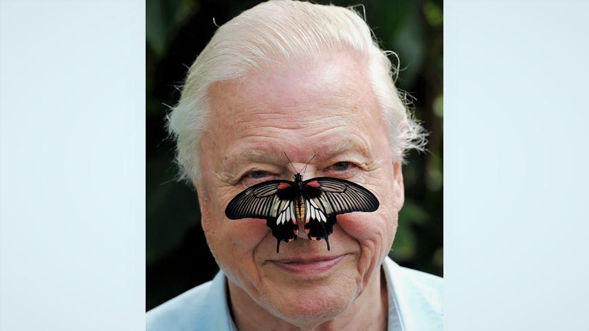 david.jpg.gallery_web_1.jpg