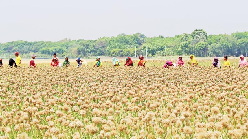 gobindapur-village-1.jpg