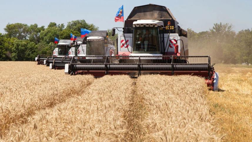 canada-to-help-ukraine.jpg
