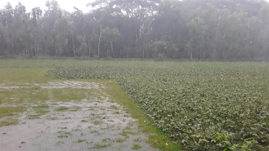 patuakhali.jpg
