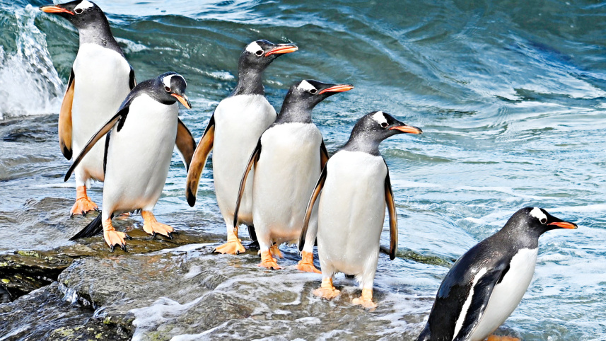 antarctica-7.jpg