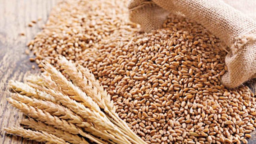 wheat.jpg