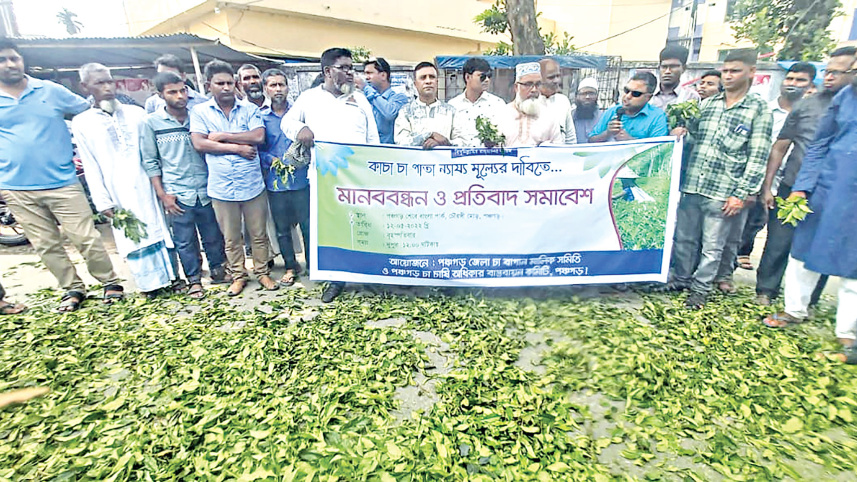 tea-industry-2.jpg