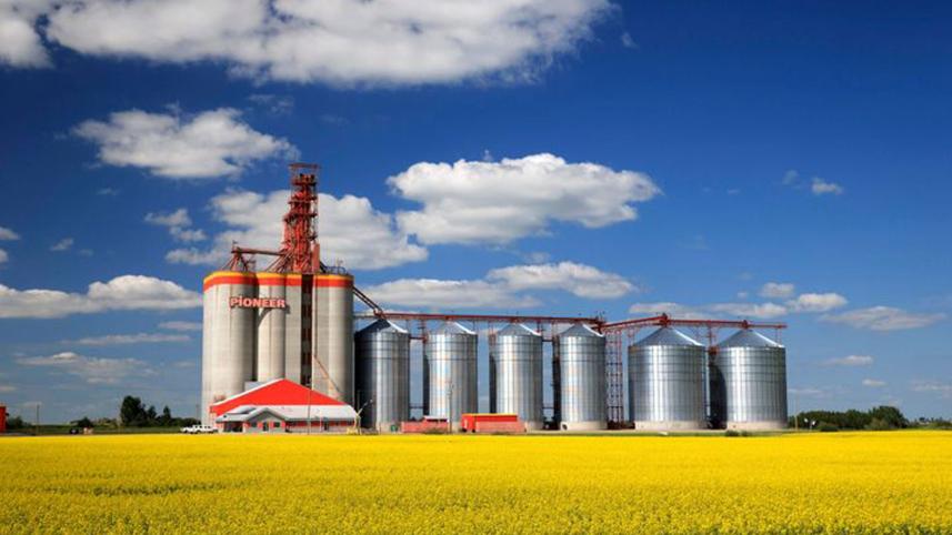 china-lifts-ban-on-canada.jpg