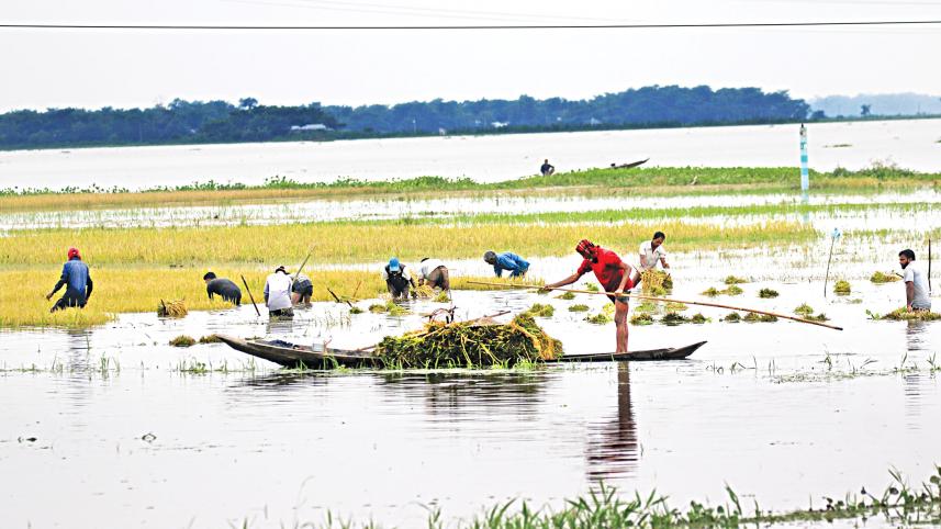 sylhet.jpg