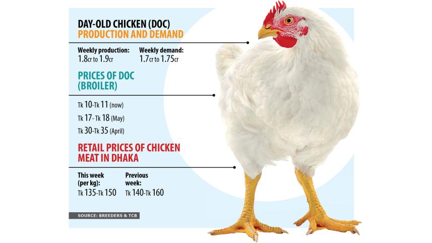 chicken-meat.jpg