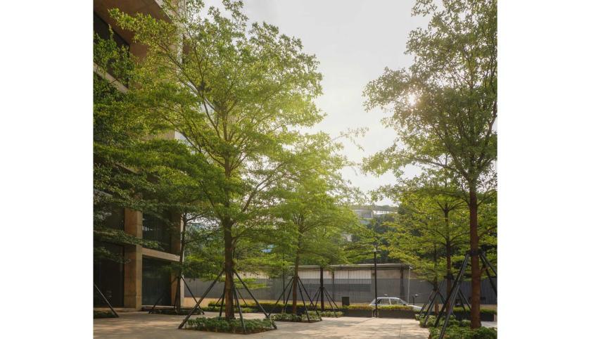 green-tree2.jpg