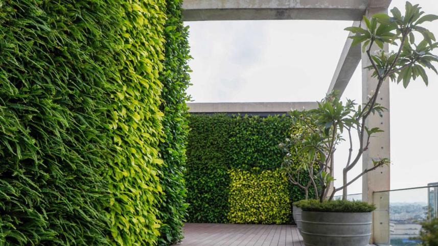green-tree6.jpg
