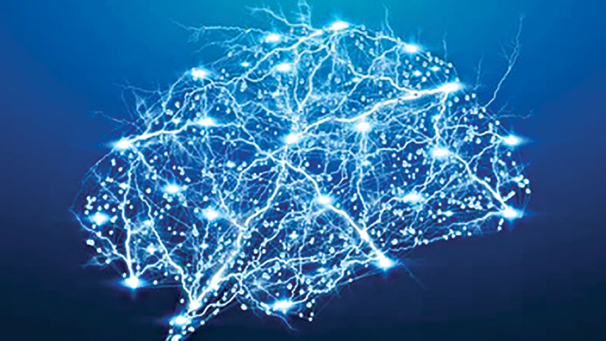 brain.jpg
