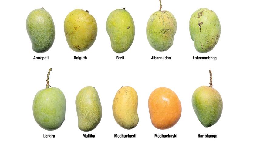 amropali.jpg