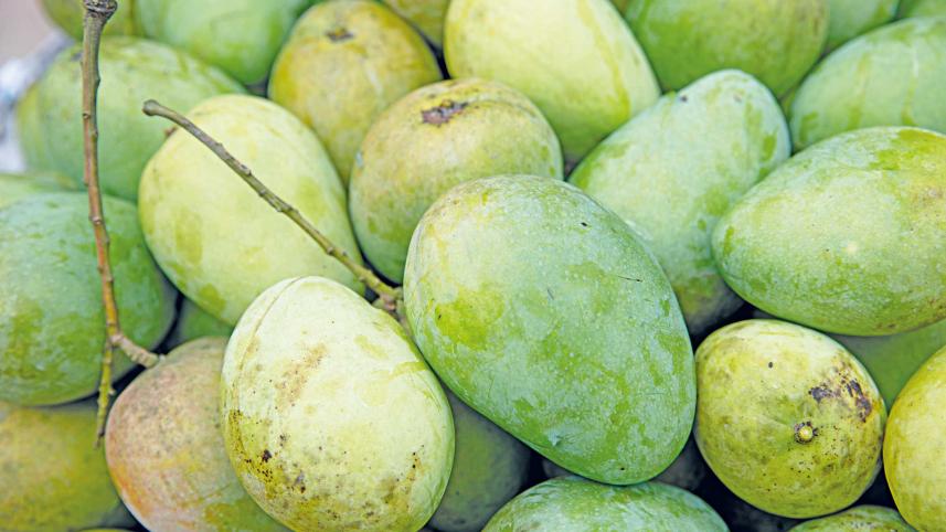 mango2.jpg