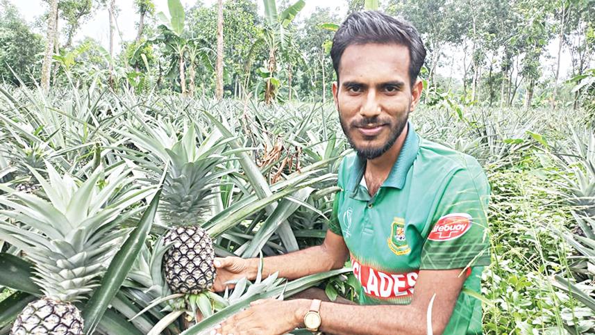 pineapple-2.jpg