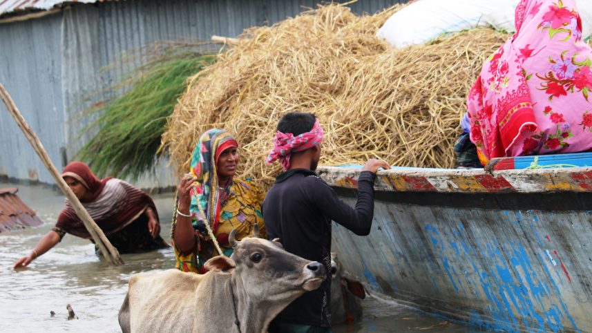 kurigram_flood_fodder-01.jpg