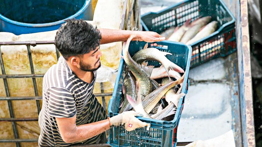 fisheryghat1.jpg