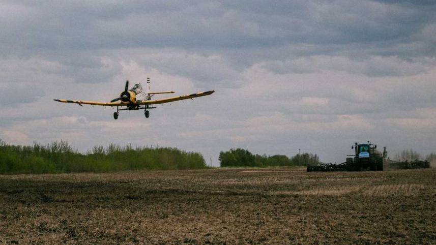 global-crop-problems.jpg