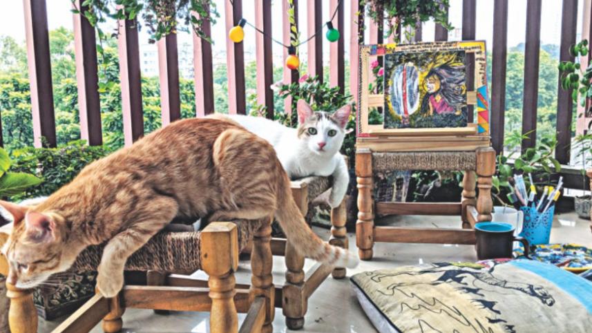 cats.jpg