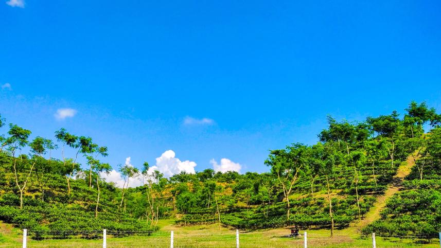 Sreemangal