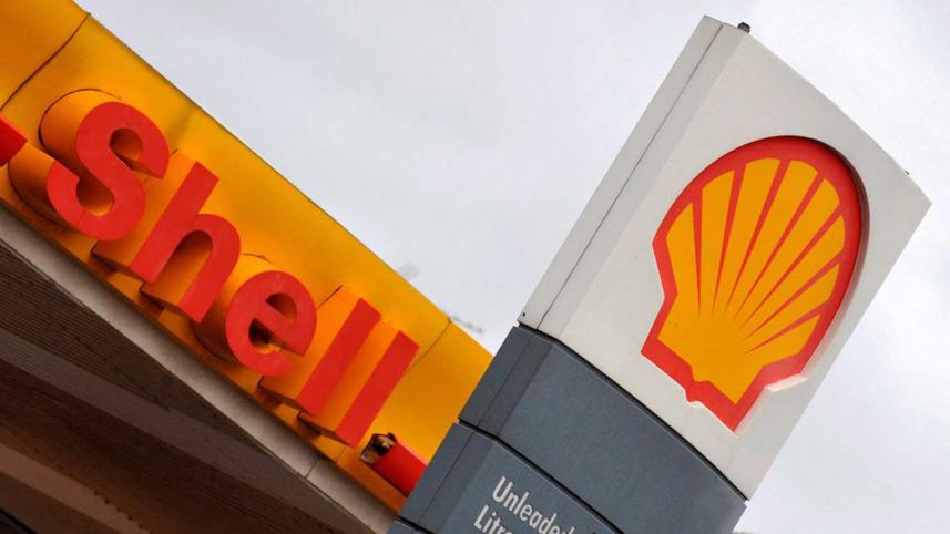 shell.jpg