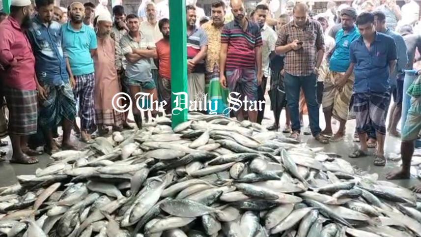 ilish_2_0.jpg