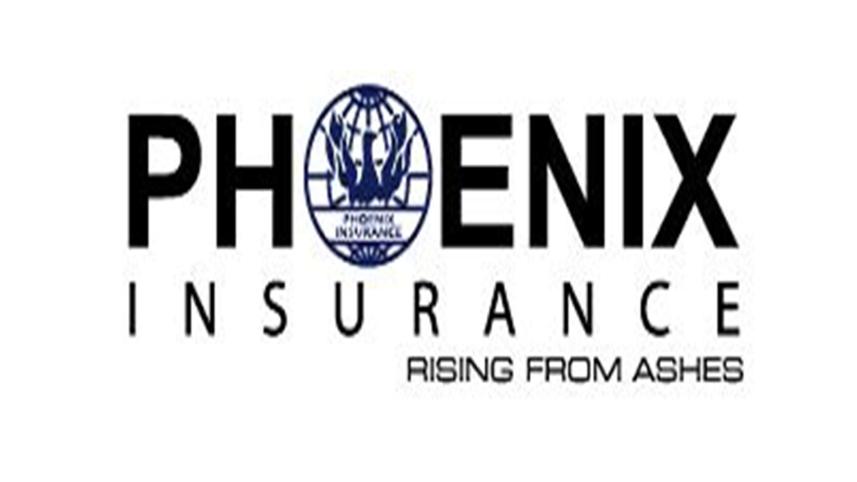 phoenix-ins-profit.jpg