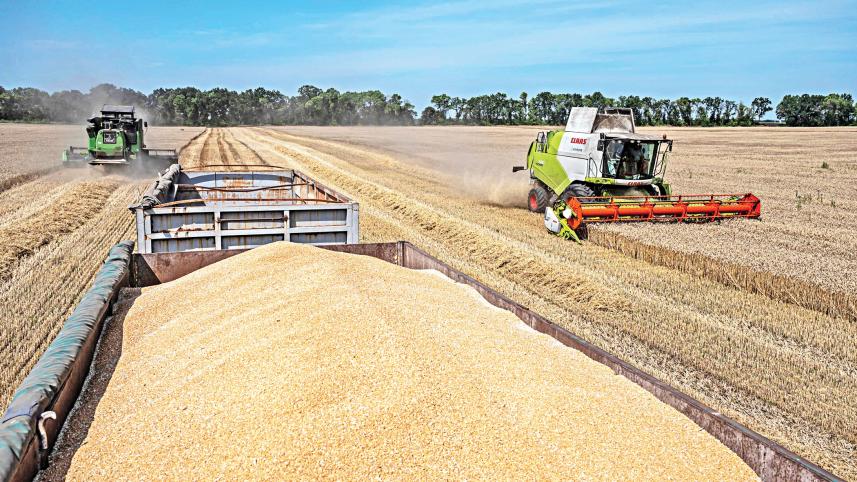 Wheat prices may cool off in local market