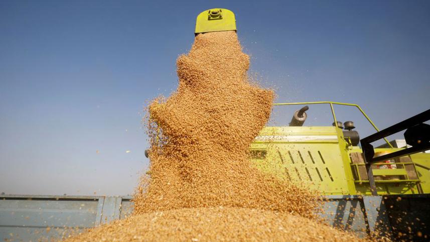 india-could-scrap.jpg