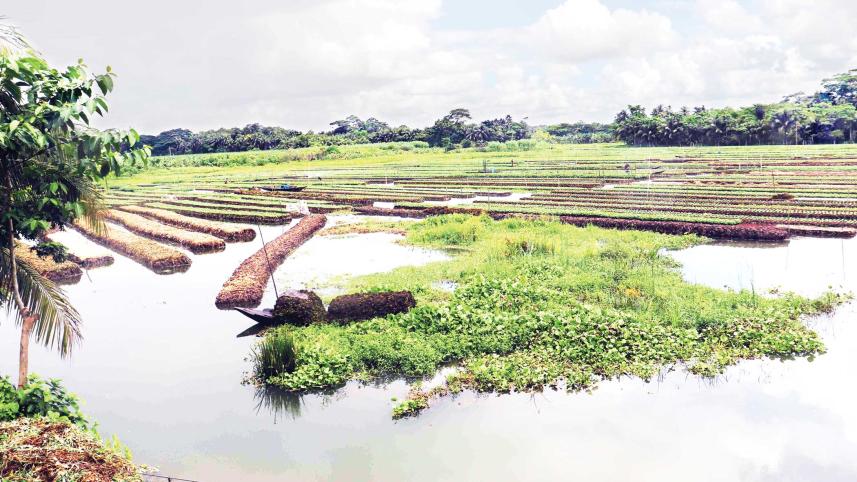 pirojpur_floating.jpg