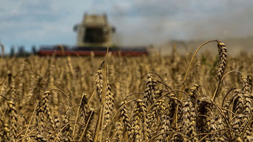 ukraines-food-exports.jpg