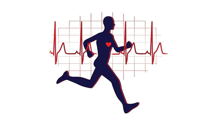 better-cardiorespiratory.jpg