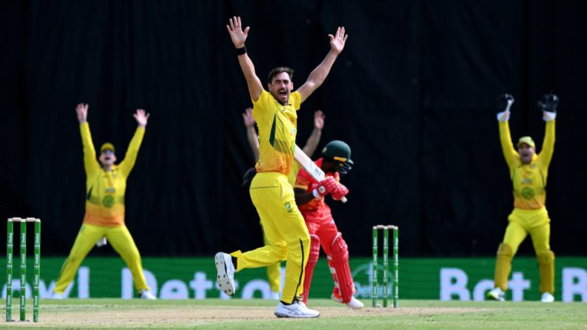 starc_web.jpg