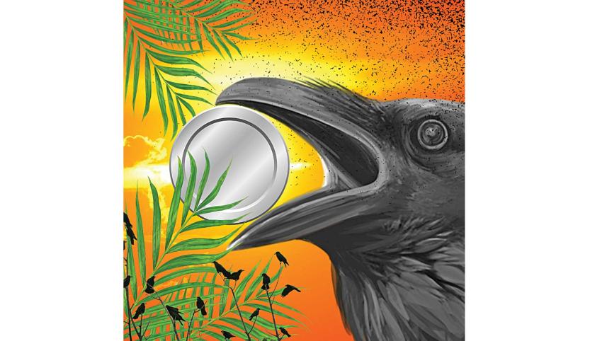bird.jpg