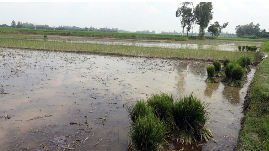 dinajpur_3.jpg