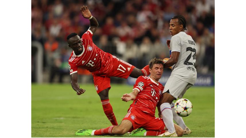 mane_muller.jpg