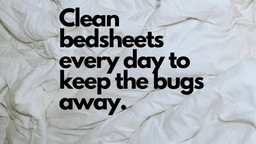 Health Hazards of not changing bedsheets everyday