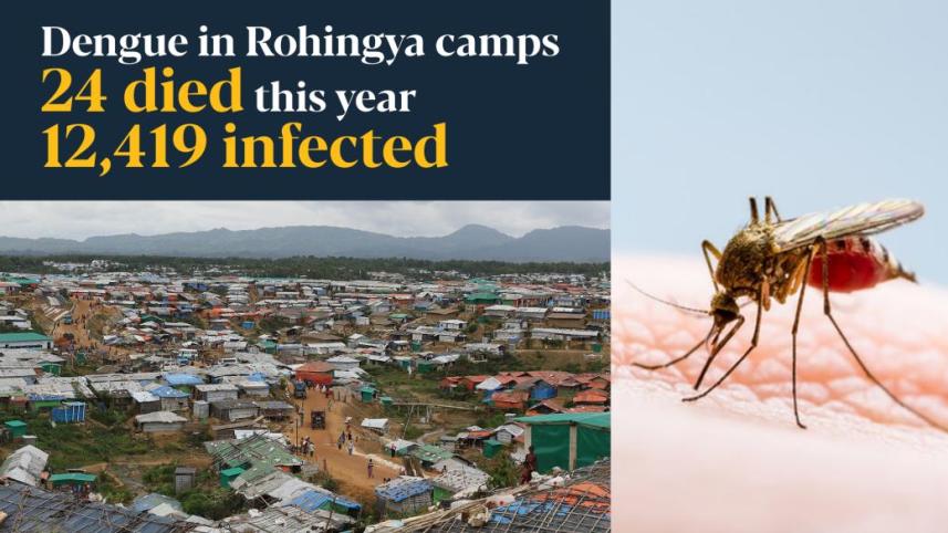 dengue.jpg