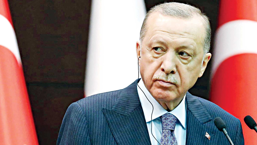 turkey-seo.jpg
