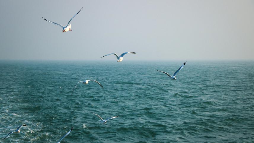 Mesmerising islands to visit in Bangladesh 