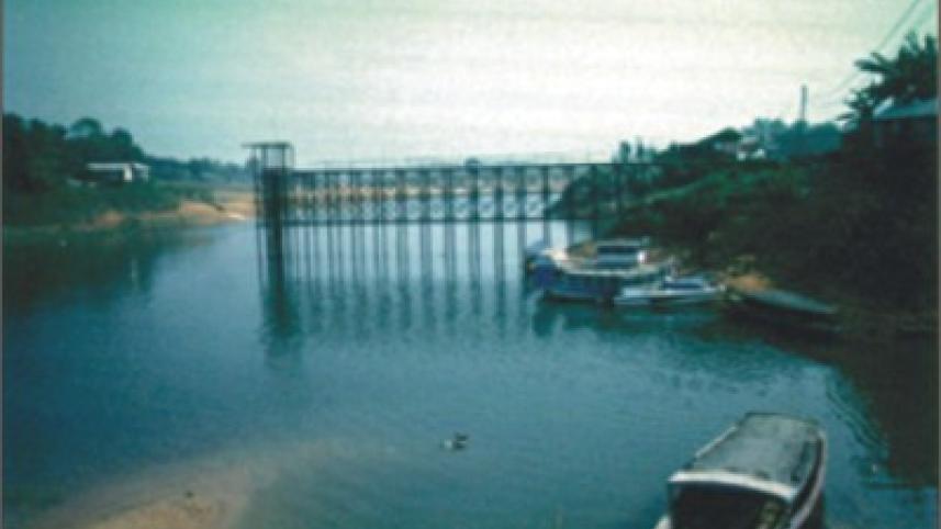 2007-11-03_back01.jpg