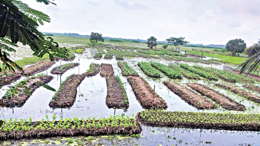 floating-seedbeds.jpg