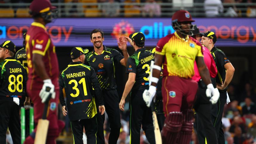 starc.jpg