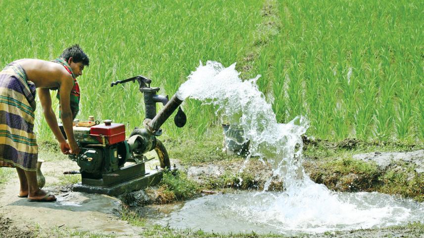 Bangladeshi farmers